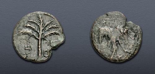 Lot 218 image