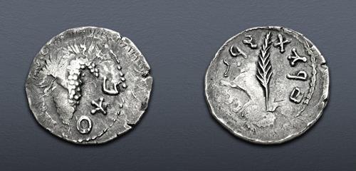 Lot 220 image