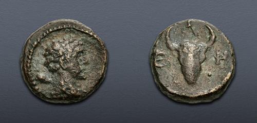Lot 336 image