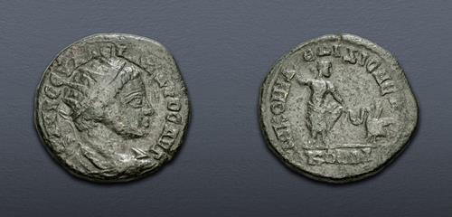 Lot 344 image