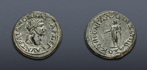 Lot 383 image