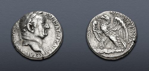 Lot 391 image