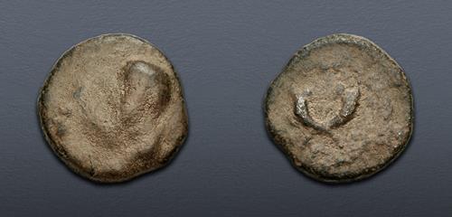 Lot 411 image