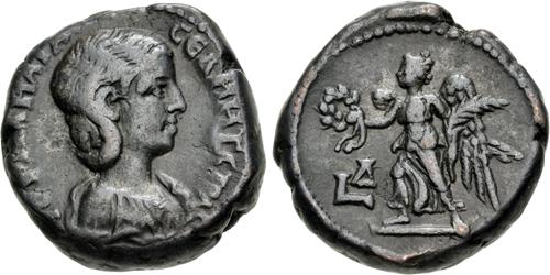 Lot 505 image