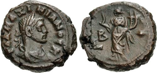 Lot 555 image