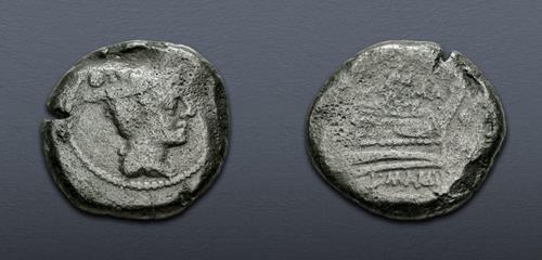 Lot 559 image