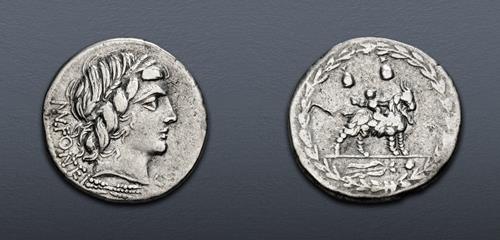 Lot 565 image