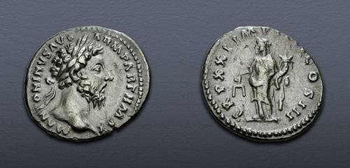 Lot 625 image