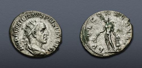 Lot 665 image