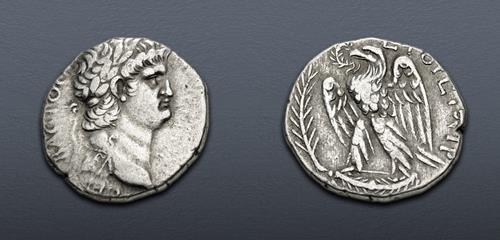Lot 258 image