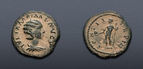 Lot 491 image