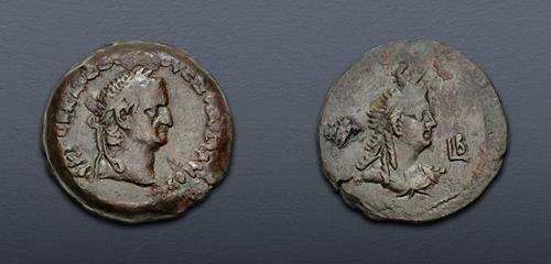 Lot 501 image