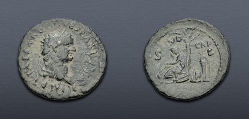 Lot 6087 image