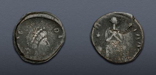Lot 6192 image