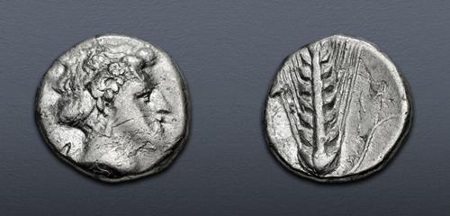 Lot 7 image