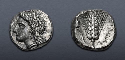 Lot 9 image