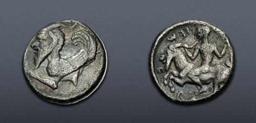 Lot 11 image