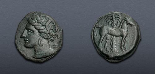 Lot 13 image