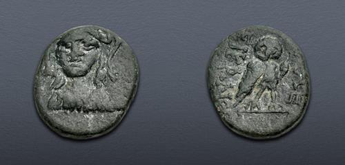 Lot 195 image