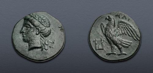 Lot 233 image