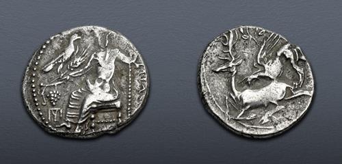 Lot 317 image