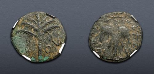 Lot 385 image