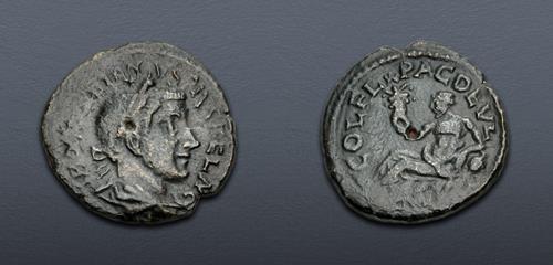 Lot 447 image