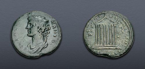 Lot 480 image