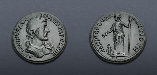 Lot 483 image