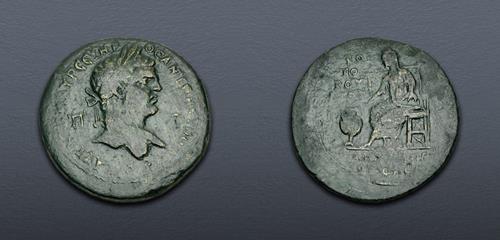 Lot 510 image