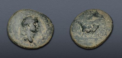 Lot 517 image