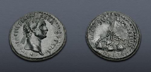 Lot 524 image