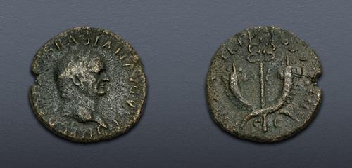 Lot 535 image