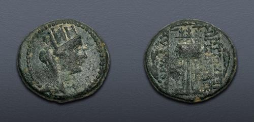 Lot 555 image