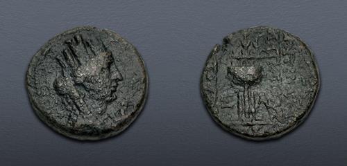 Lot 557 image