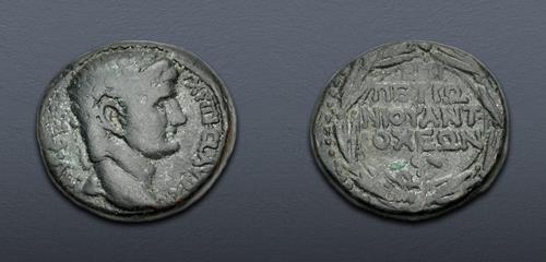 Lot 559 image