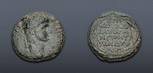 Lot 561 image