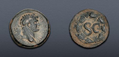 Lot 565 image