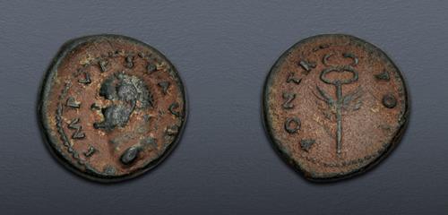 Lot 566 image