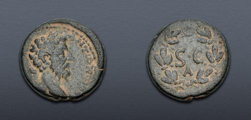 Lot 586 image