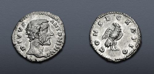 Lot 738 image