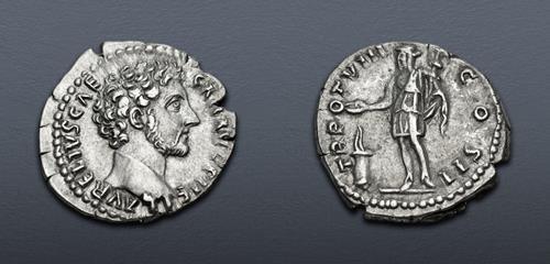 Lot 740 image