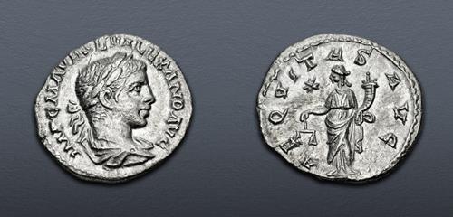 Lot 782 image