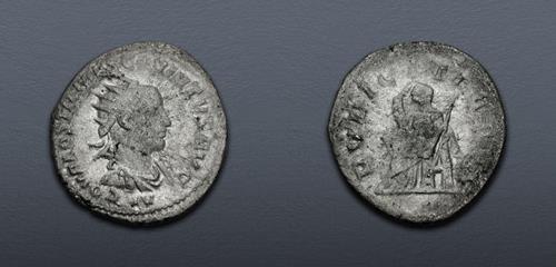 Lot 798 image