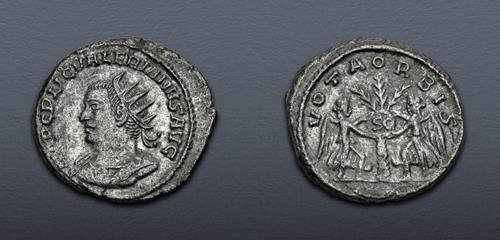 Lot 799 image