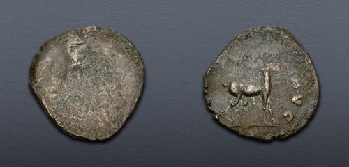 Lot 800 image
