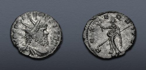 Lot 806 image