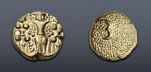 Lot 1005 image