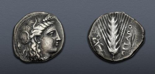Lot 1117 image
