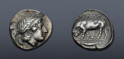 Lot 1119 image